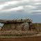 Dolmen 1 de Taizé-Maulais