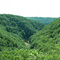 Gorges du Dognon (19)