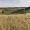 Paysage du Lot et Garonne
