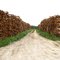 Stock de bois !
