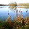 Lac de Monestié