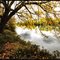 Bords du Tarn
