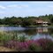 Lac de Saint-Julien en Born (Landes)