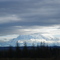 Mount Rainier