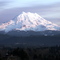 Mt Rainier From Graham Hill