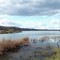 Lac du Broussau (Aire-sur-l'Adour)