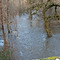 Flooded river