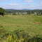 Plateau du limousin