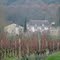 Chateau Fauga (commune de port St Foy et Ponchapt 24)