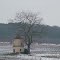 Viel arbre et pigeonnier