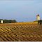 EYNESSE [33] - Duo de moulins dans les vignes (octobre 2011)