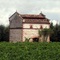 LAGRAVE - face à La Bouyssonade - Pigeonnier dans les vignes.