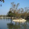 Le plan d'eau de LISLE-SUR-TARN.