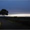 MIRAMONT-LATOUR [32] - Arbre solitaire en soirée à la lueur des phares (octobre 2012)