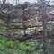 Black River State Forest