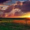 French country light