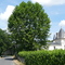 Bonnetan - Le château du Chenut