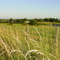 Peyrignac France