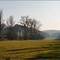 SAINT AMAND DE COLY [24] - Château de la Grande Filolie dans la brume.