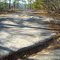 Nuttall Sandstone at Beauty Mountain, WV