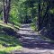   2013 06-29 West Virginia - New River Gorge