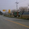 dangjin juksuri