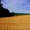 Campagne berrichonne près du Menoux.
