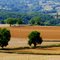 Campagne berrichone près du Menoux.