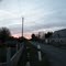 Hameau des Bindets - Prunier (36)