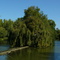 EL INDRE EN ARTANNES