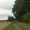 Lieu-dit " Les Grands Bois ", sur le Gr 655.