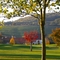 autunno a Chailly