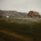 100 Year Old Barn, Jackson