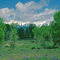 Painter. Grand Teton National Park