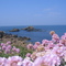  Quiberon, Côte Sauvage en Mai