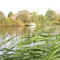 marais de redon