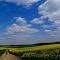 NANTILLY - PAYSAGE
