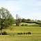 Paysage d'Auxois (Sussey)
