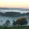 MORVAN 9004 JP Terrillon