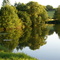 Bord du Madon