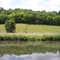 Chevaux sur le bord du canal / Horses close to the channel - Neuviller sur Moselle