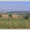 Along the road