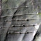 Cave engraving