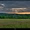 Fin de journée sur la colline de Lassy 08 06 11