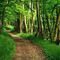 Sentier de rando.