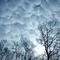 cloud