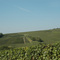 Saulchery - Nateuil Saâcy - RIF : Randonnée du 28 septembre 2008
