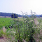La campagne au nord de Château-Thierry, France