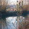 La Vendée