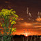 Coucher de soleil